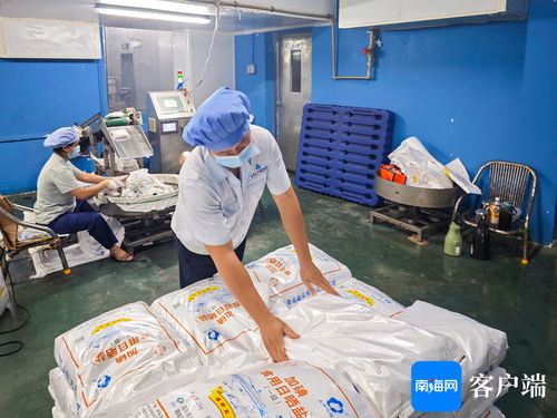 海口国家高新区食品产业企业抓紧灾后复工复产