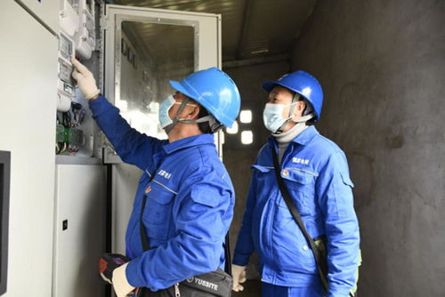 彻底解决大头菜加工厂用电问题 国网自贡供电公司为乡村振兴农产品企业 送电