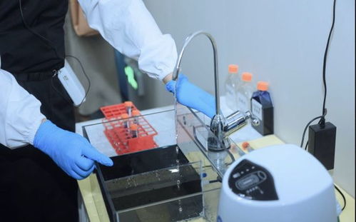 零距离探访安利 中国 透明工厂 揭秘明星产品背后的秘密