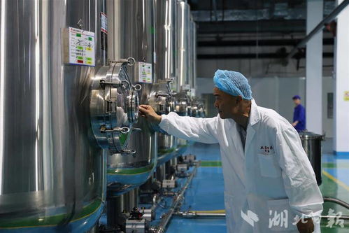 从 中药饮片 到 配方颗粒 英山道地中药材身价倍增