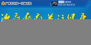 广东癫痫病专业诊疗指南 科学认识与规范就医